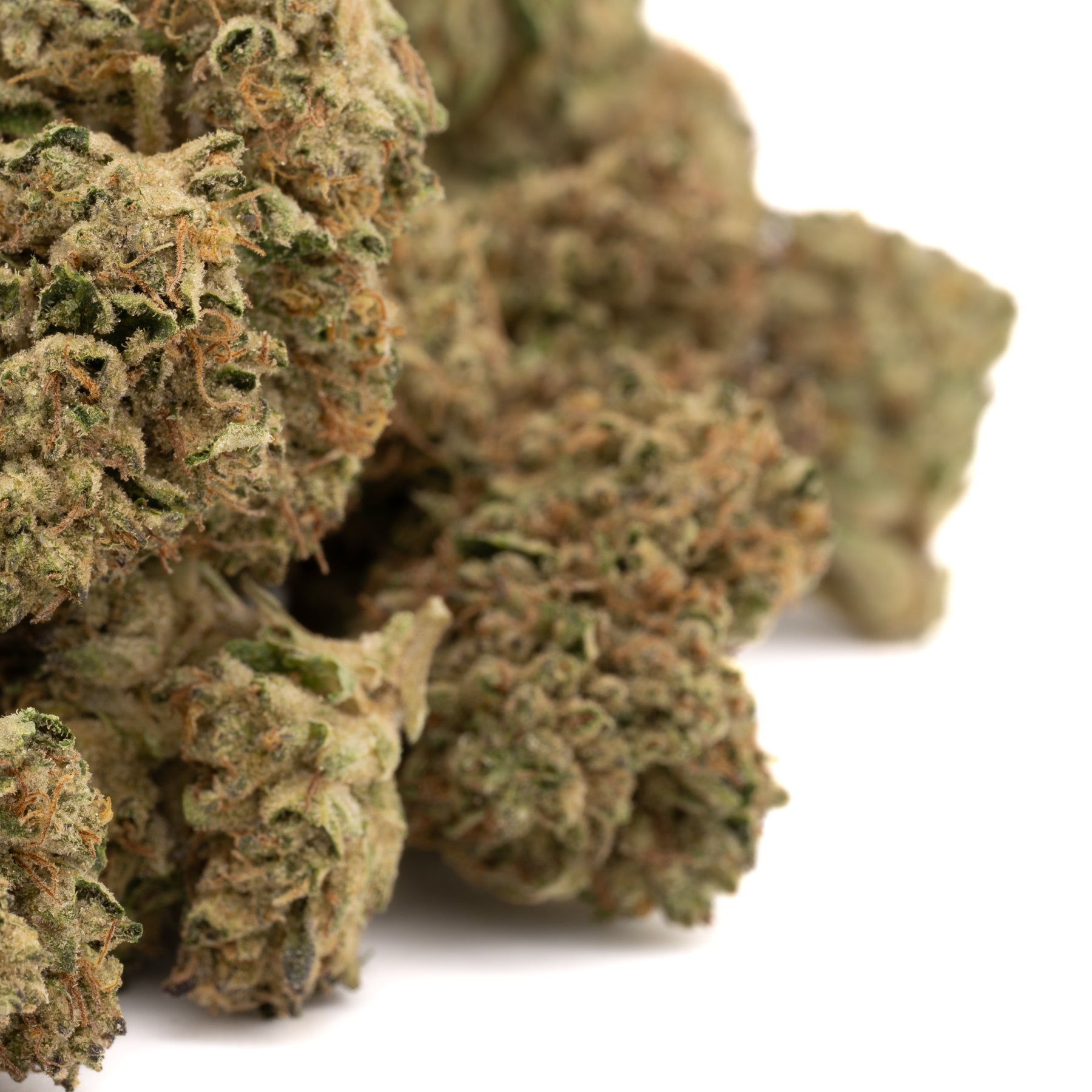 White Runtz THCa Hemp Flower Wholesale - Plants