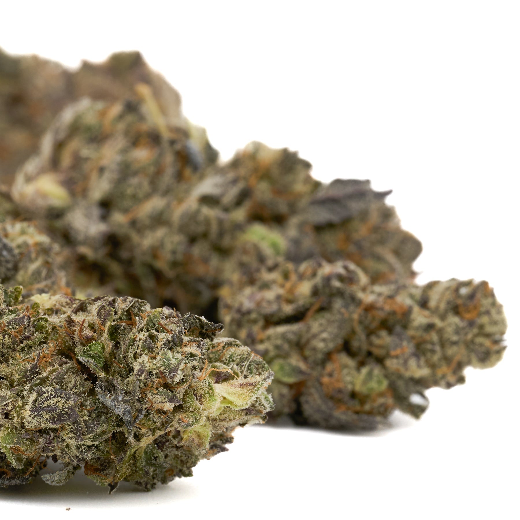 Dried White Truffle Indoor THCa Flower hemp buds with trichomes and orange pistils