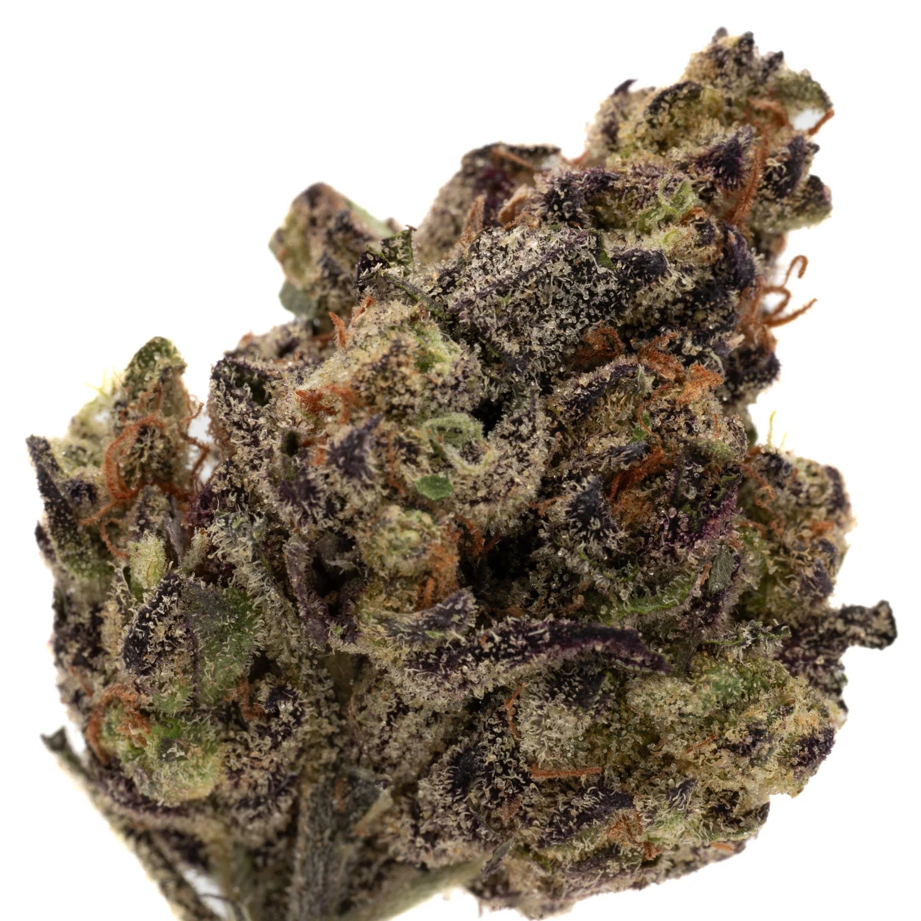 White Truffle THCa Hemp Flower Greenhouse - Plants