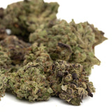 White Truffle THCa Hemp Flower Greenhouse - Plants