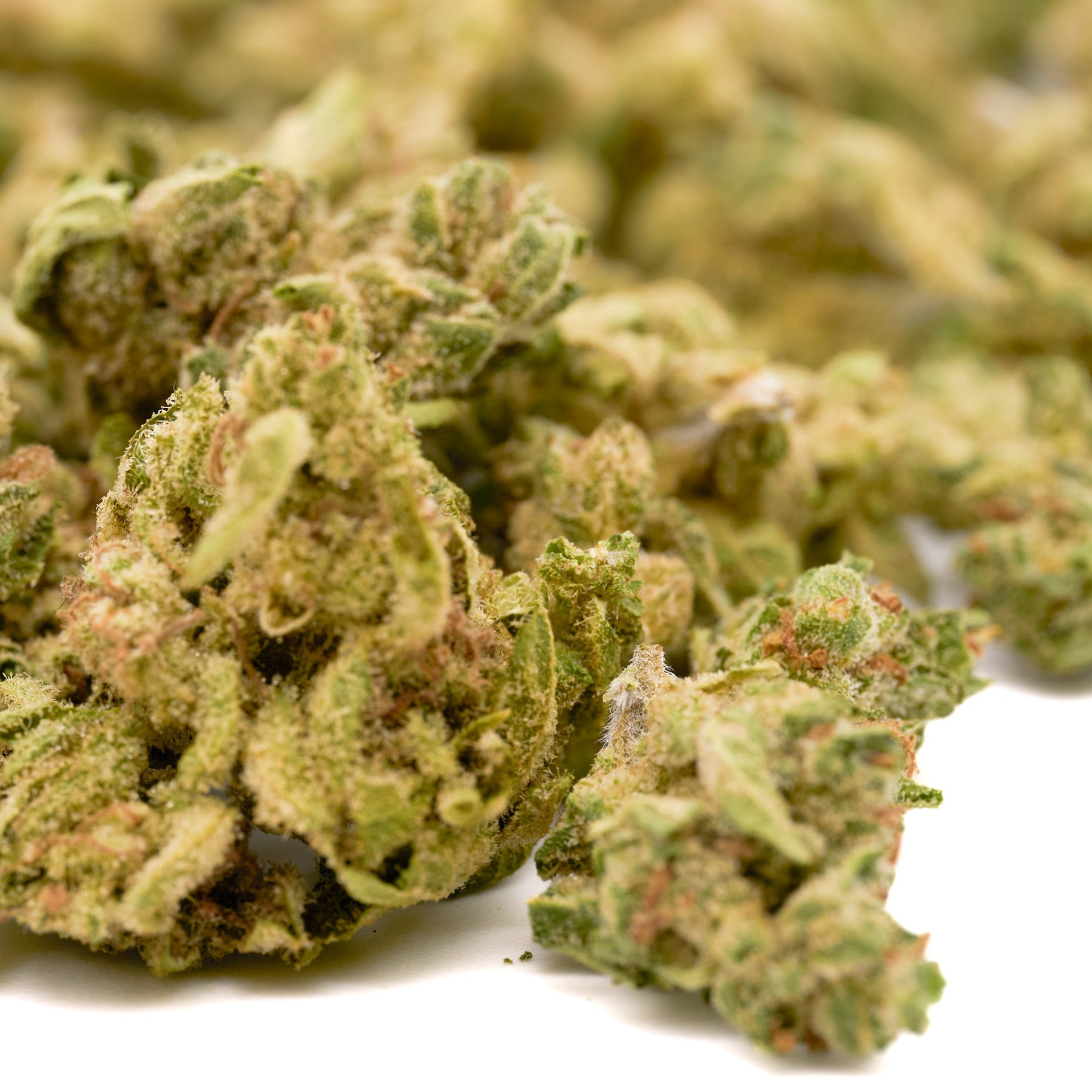 Dried cannabis buds with trichomes and orange hairs from Orchard Illusions White Truffle THCa Hemp Flower Smalls