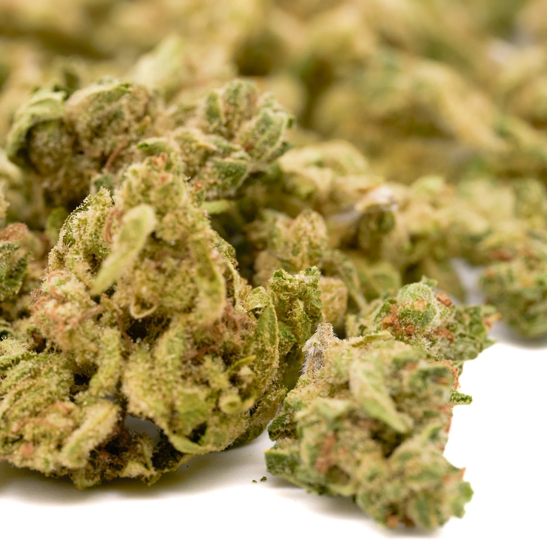Dried cannabis buds with trichomes and orange hairs from Orchard Illusions White Truffle THCa Hemp Flower Smalls