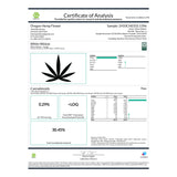 White Widow Indoor THCa Flower - Plants