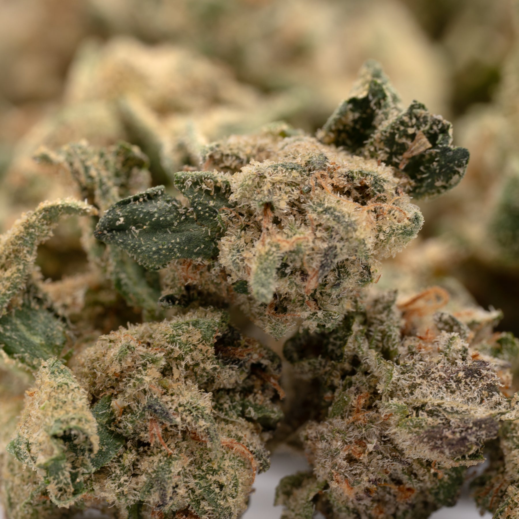 White Widow Indoor Smalls THCa 