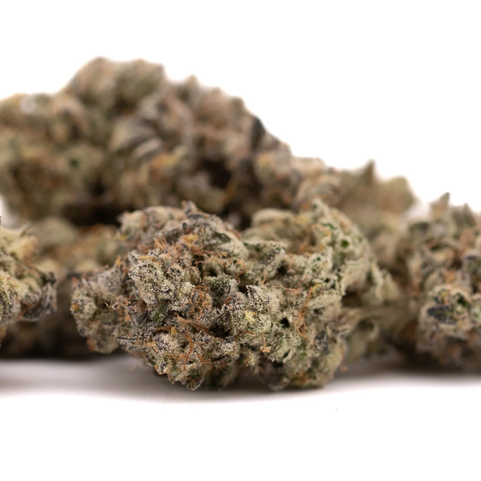 Close-up of White Widow Max indoor THCA flower with pungent floral trichomes and orange pistils