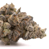 White Widow Max’s dense indoor THCA flower with trichomes and pungent floral aroma