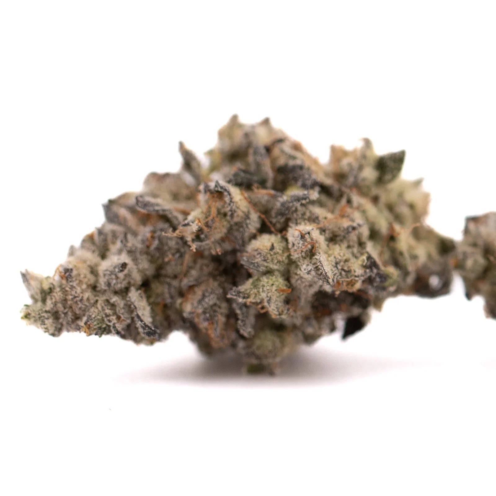 Dried White Widow Max Indoor THCa Flower with trichomes and purple green hues
