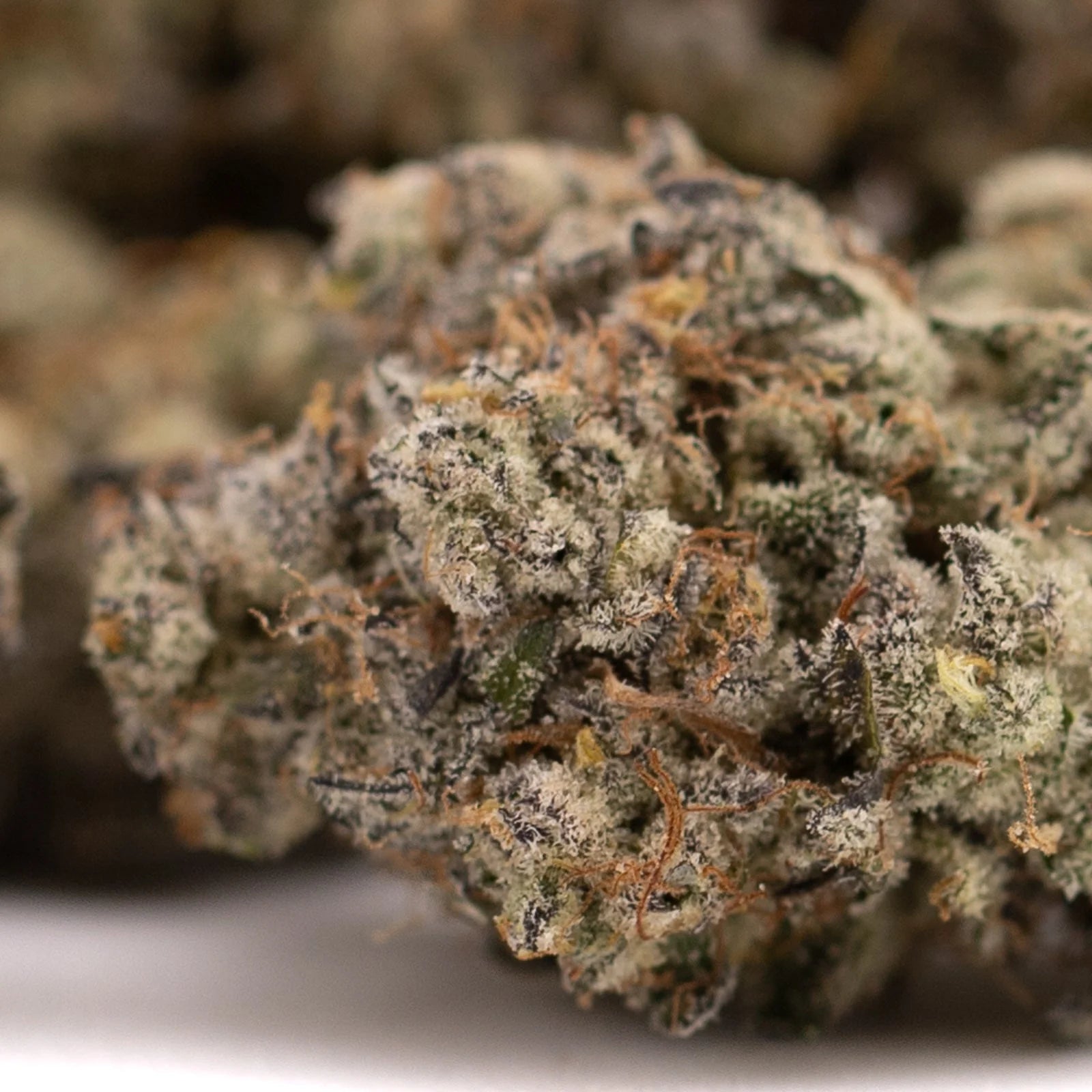 White Widow Max indoor THCa flower with dense resinous buds, vibrant green and purple hues, pungent floral aroma