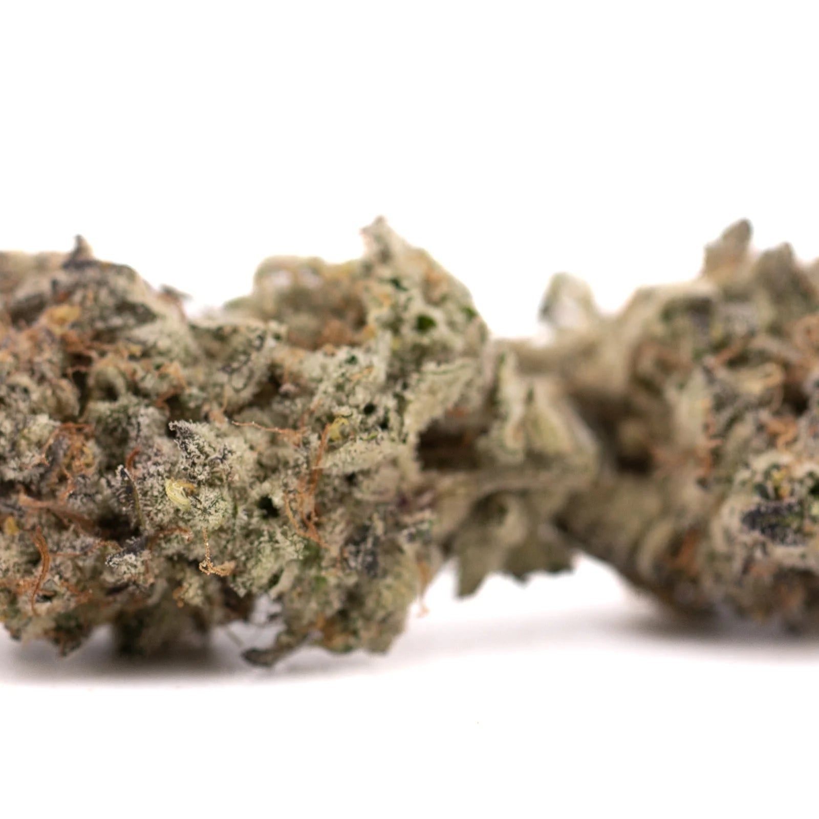 White Widow Max’s dense indoor THCa flower buds with pungent floral aroma and trichomes