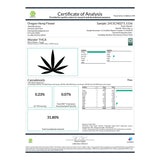 Wonder THCa Flower - Plants
