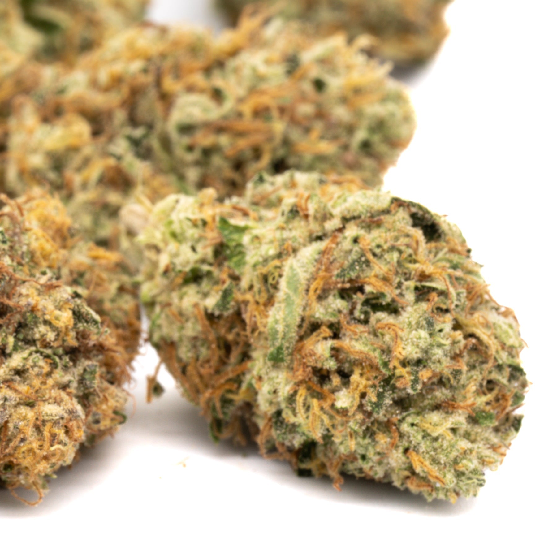 Wonder THCa Flower - Plants