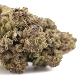 Premium Zkittlez Cross THCa hemp flower bud with trichomes