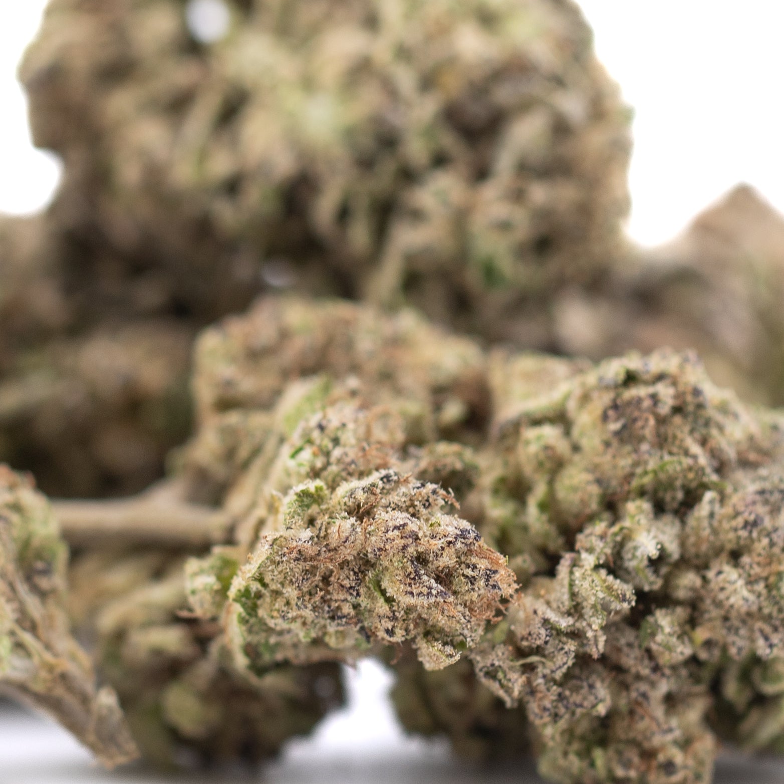 Zkittlez Cross THCa Hemp Flower Bud Display