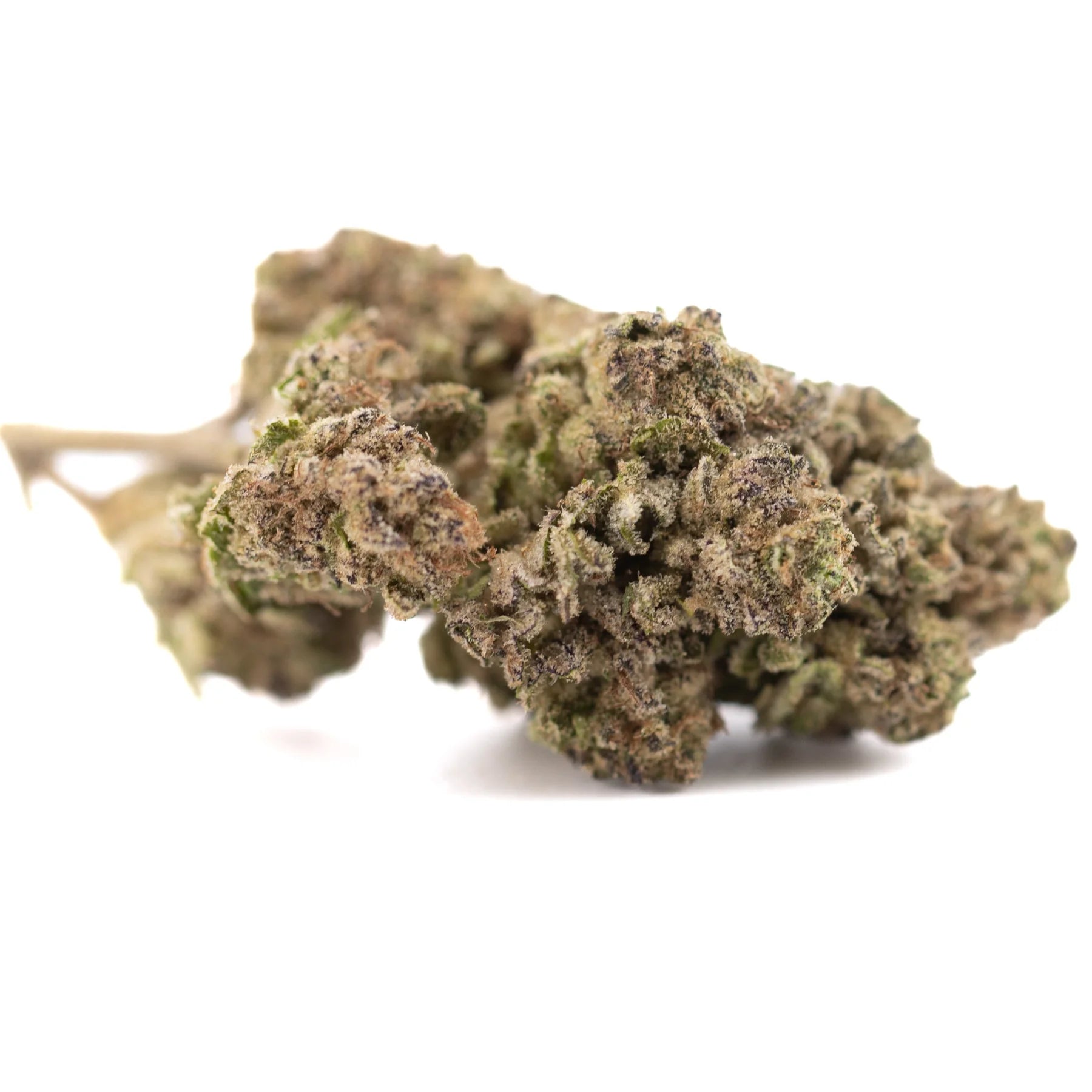 Zkittlez Cross THCa hemp flower bud with purple green hues and resin glands