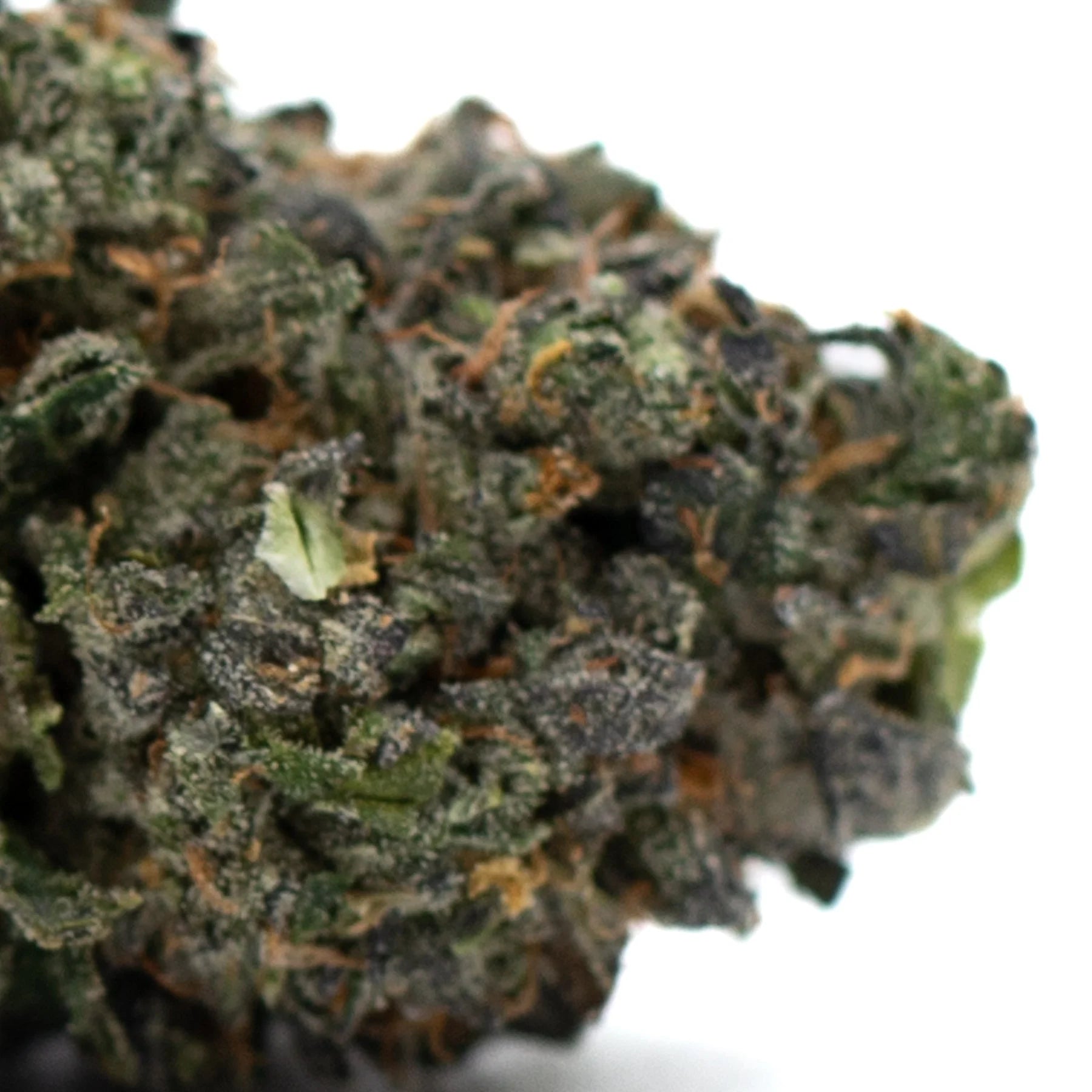 Dense dark green Zkittlez Indoor Hemp Flower with trichomes and orange hairs