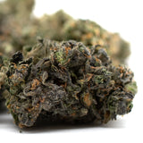Dense Zkittlez Indoor Hemp Flower with trichomes, purple hues, orange pistils, orchard laced sedation