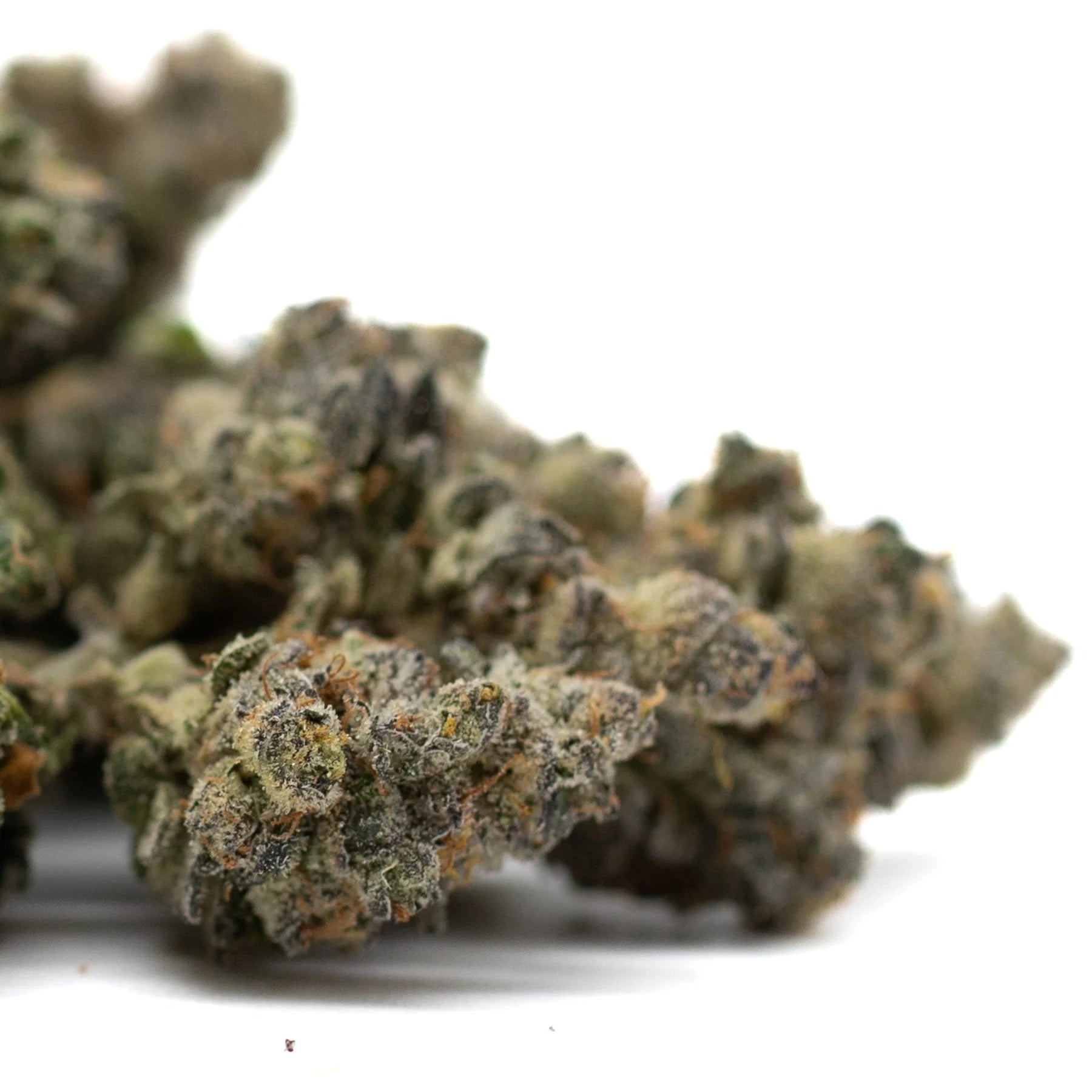 Dried Zkittlez Indoor Hemp Flower buds showcasing orchard laced sedation effects