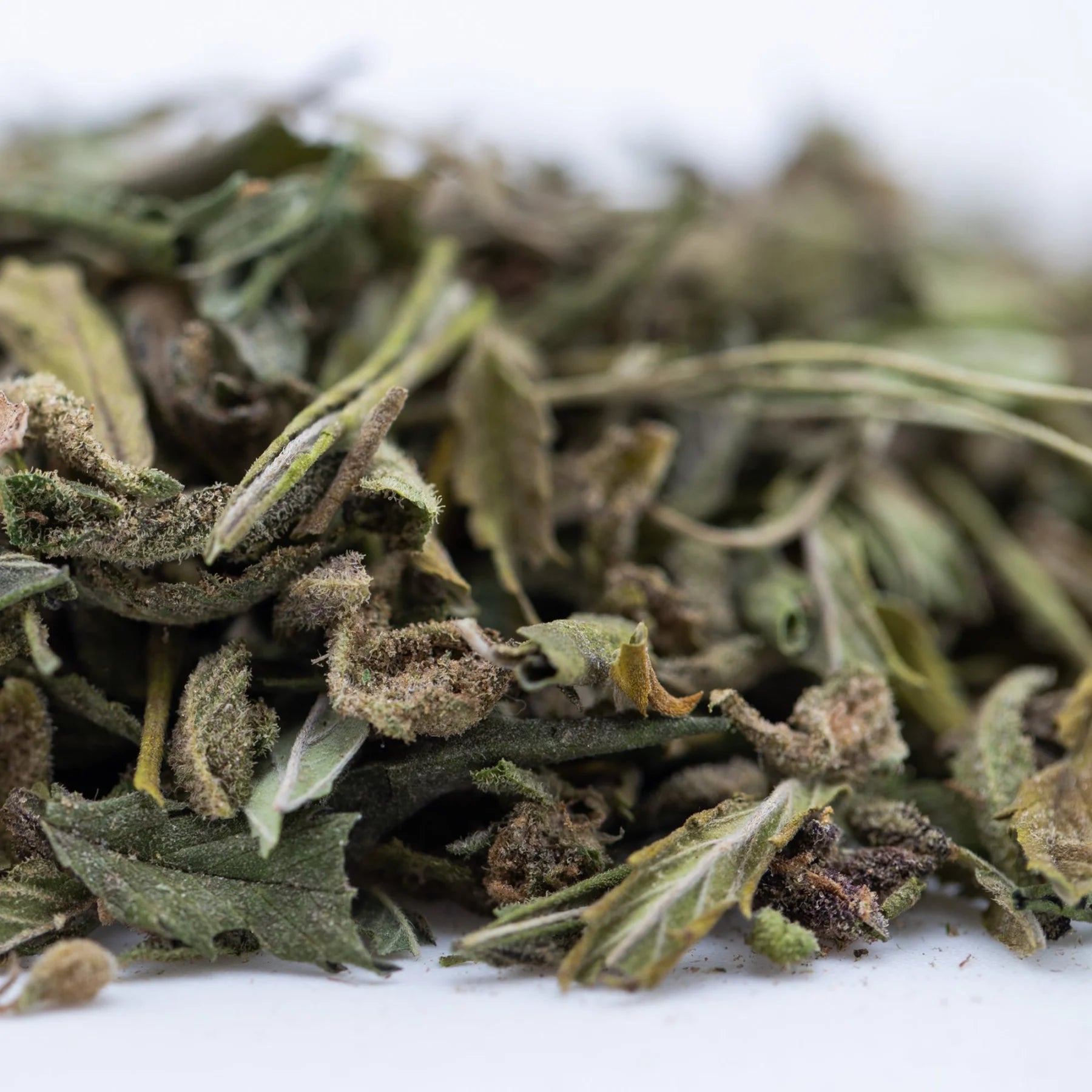 Dried green mint leaves with fuzzy texture and brown edges from zonkers greenhouse thca trim for cookies n cream use