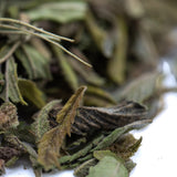 Dried zonkers greenhouse thca trim with green and brown curled mint leaves featuring fine surface hairs