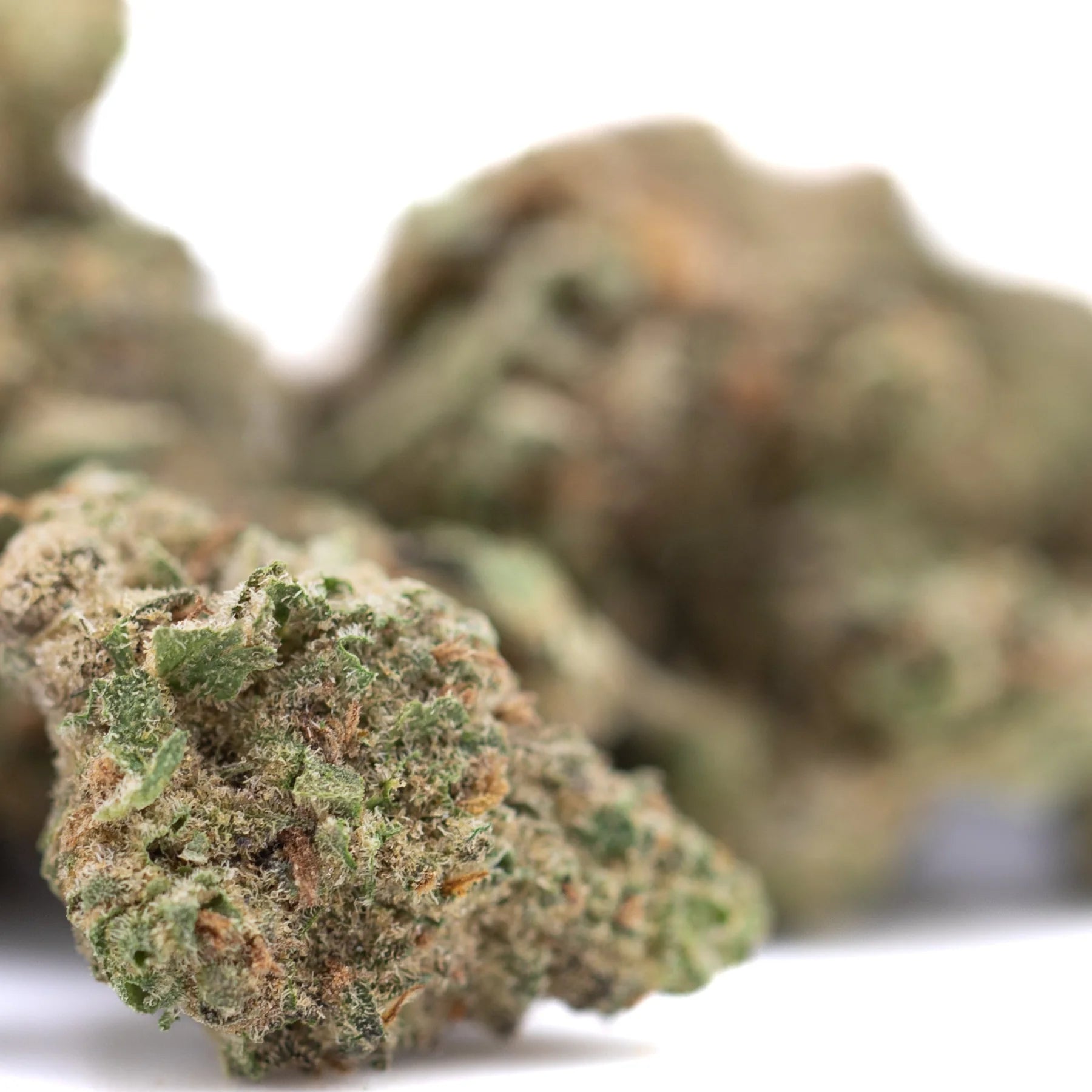 A dense green Zonkers THCa greenhouse smalls cannabis bud with fine trichomes and subtle orange pistils, sour lemon lemony scent