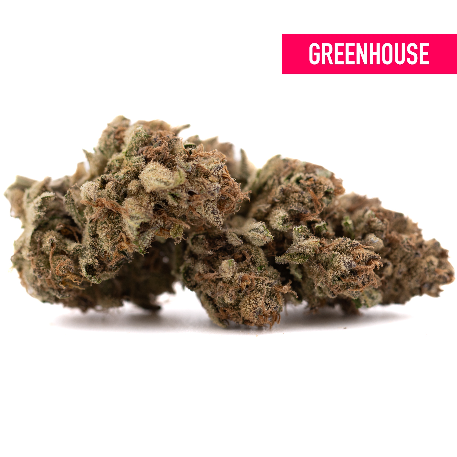 Zonkers THCa Hemp Flower Greenhouse: Green bud with white trichomes