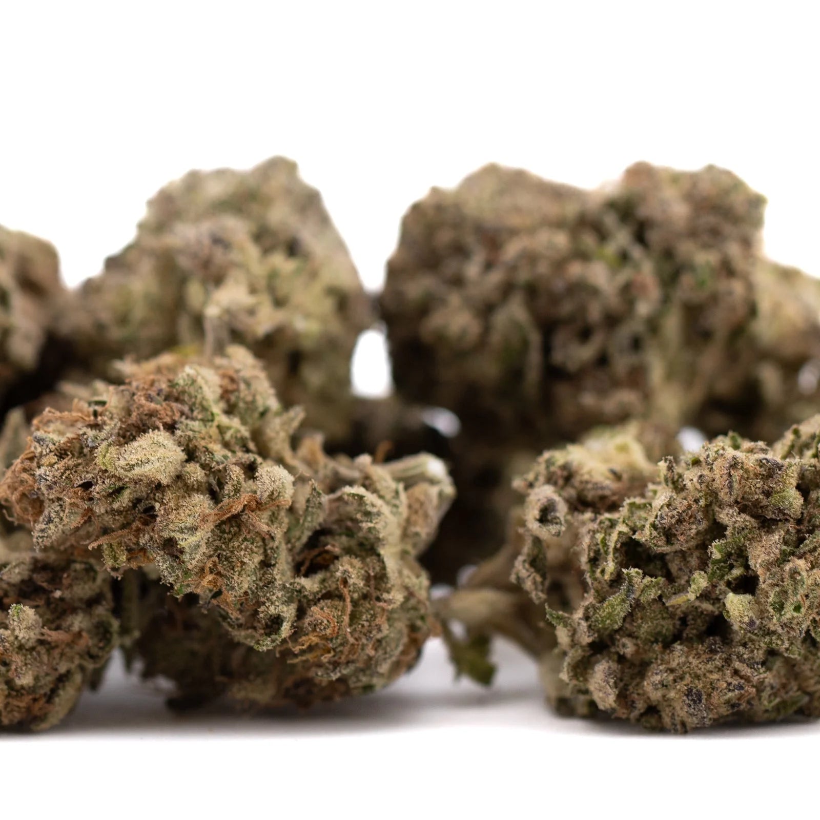 Green Zonkers THCa Hemp Flower Greenhouse bud with white trichomes