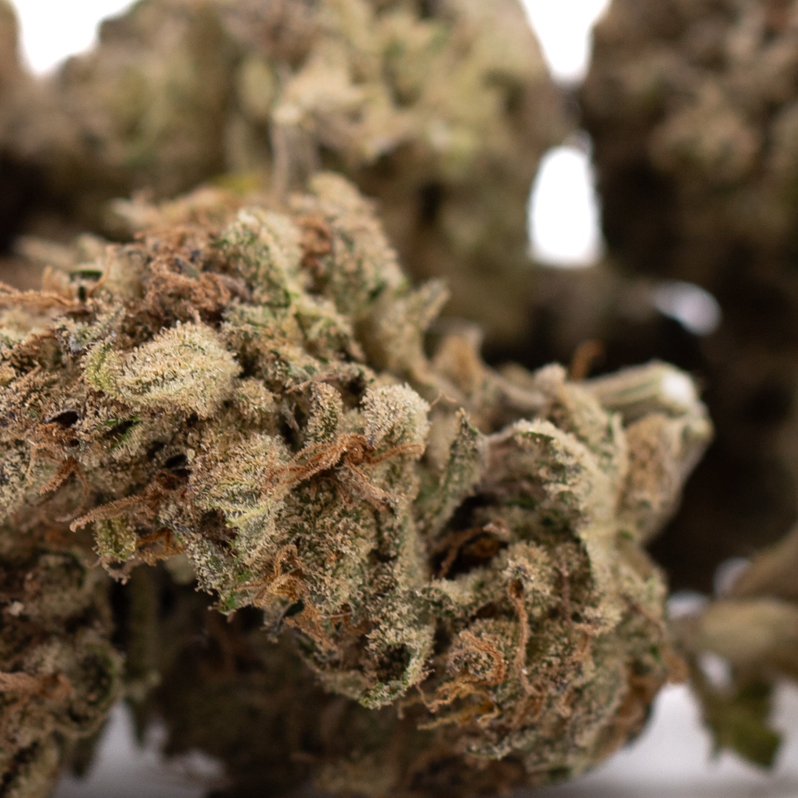 Premium Zonkers THCa hemp flower greenhouse bud with trichomes