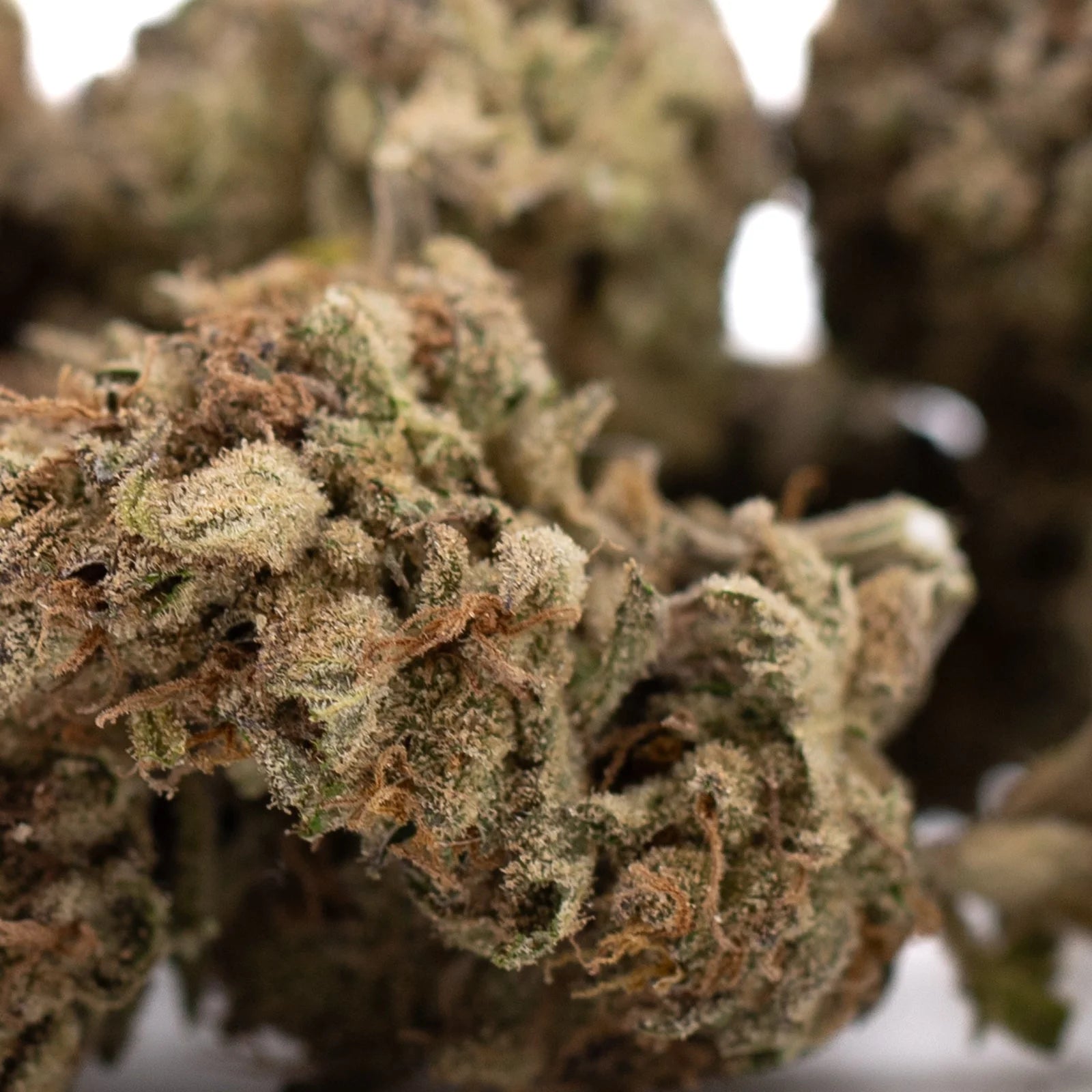 Premium Zonkers THCa hemp flower greenhouse bud with trichomes