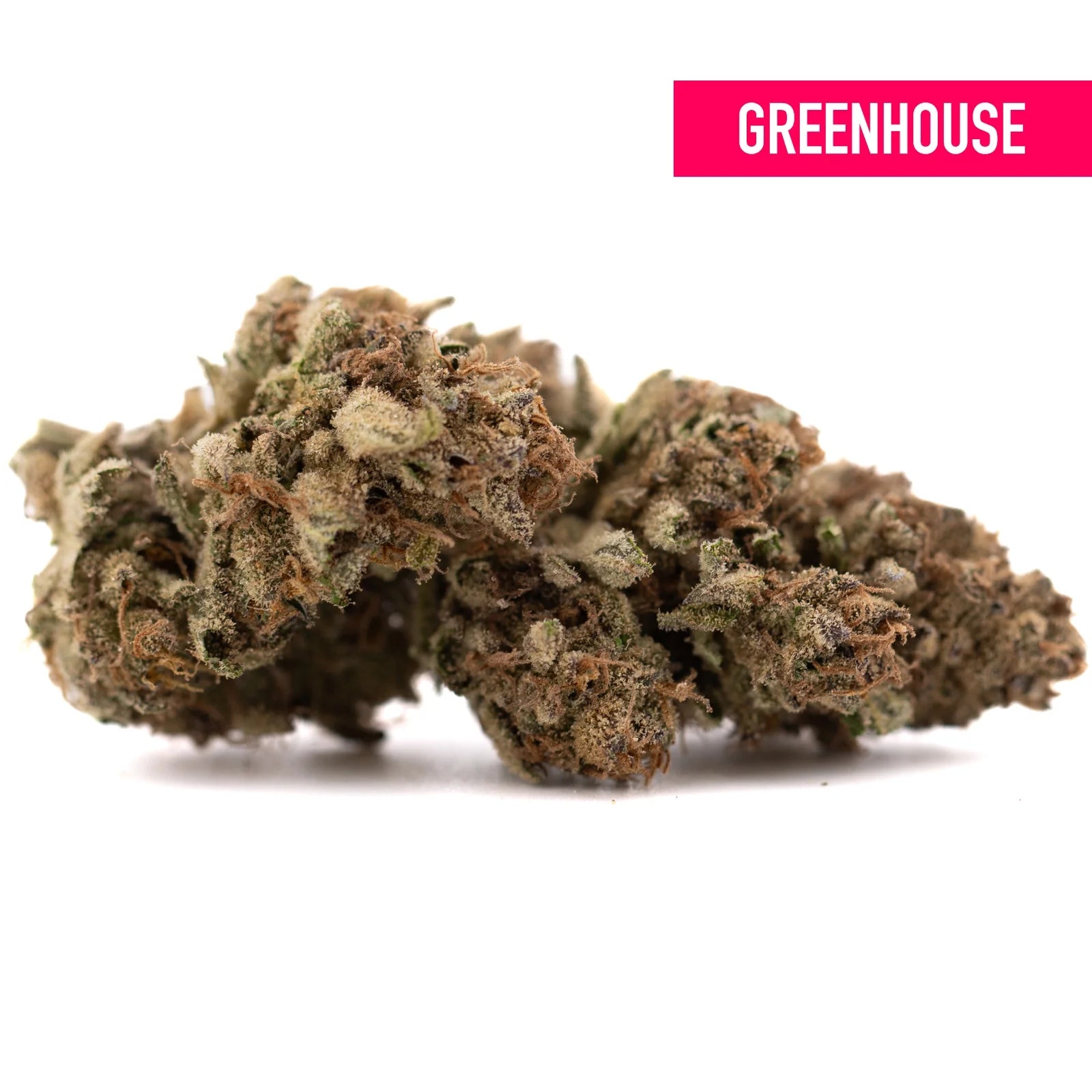 Zonkers THCa hemp flower: balanced hybrid buds with green hues and dense resin