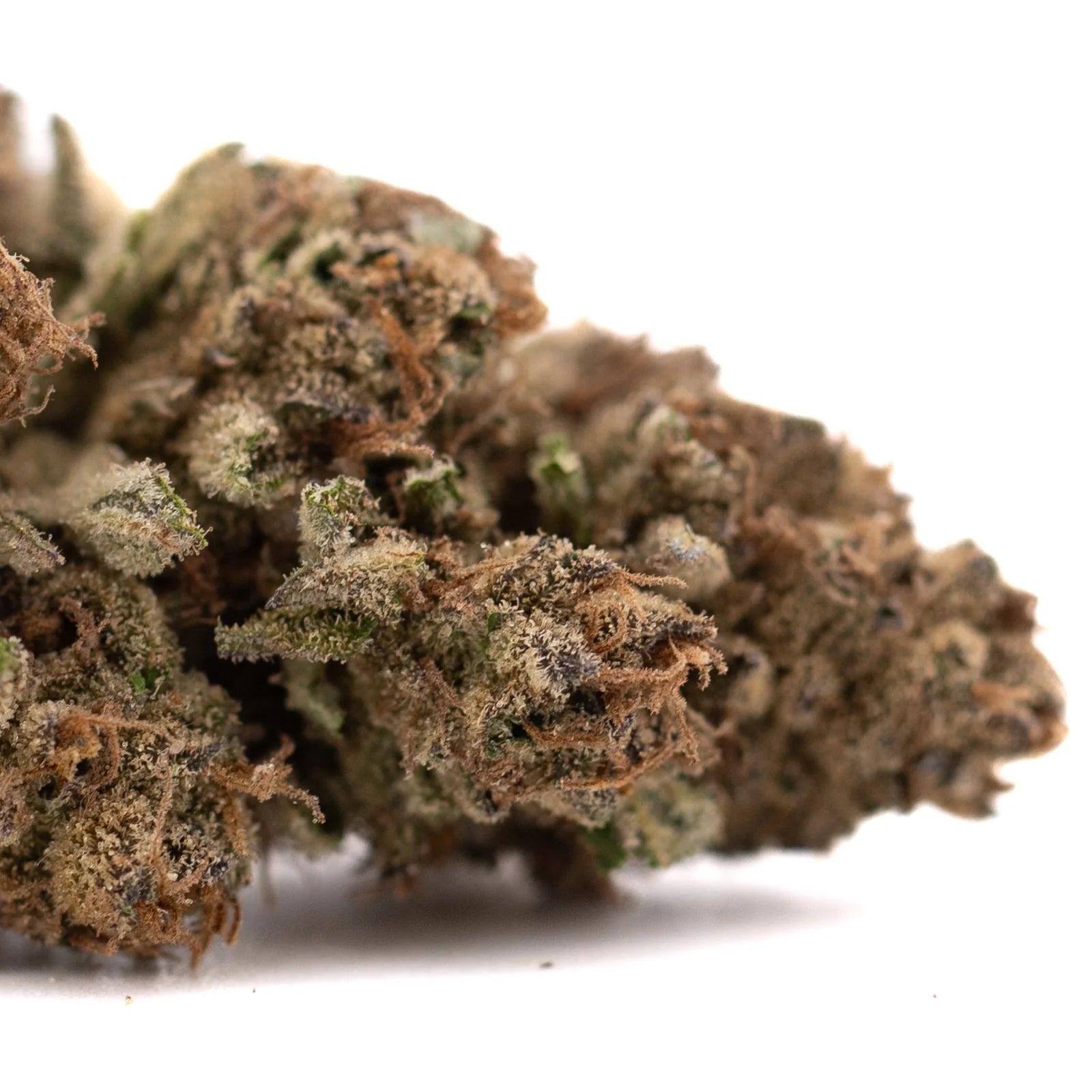 Premium Zonkers THCa hemp flower bud with dense trichomes