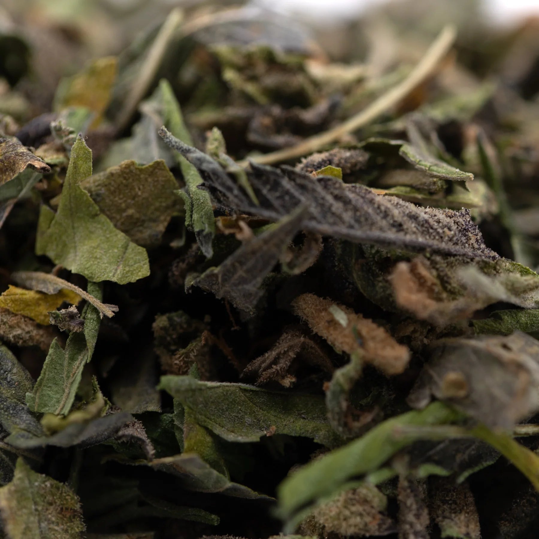Dried green and brown herbal leaves with fuzzy texture from greenhouse zushi thca shake trim wholesale