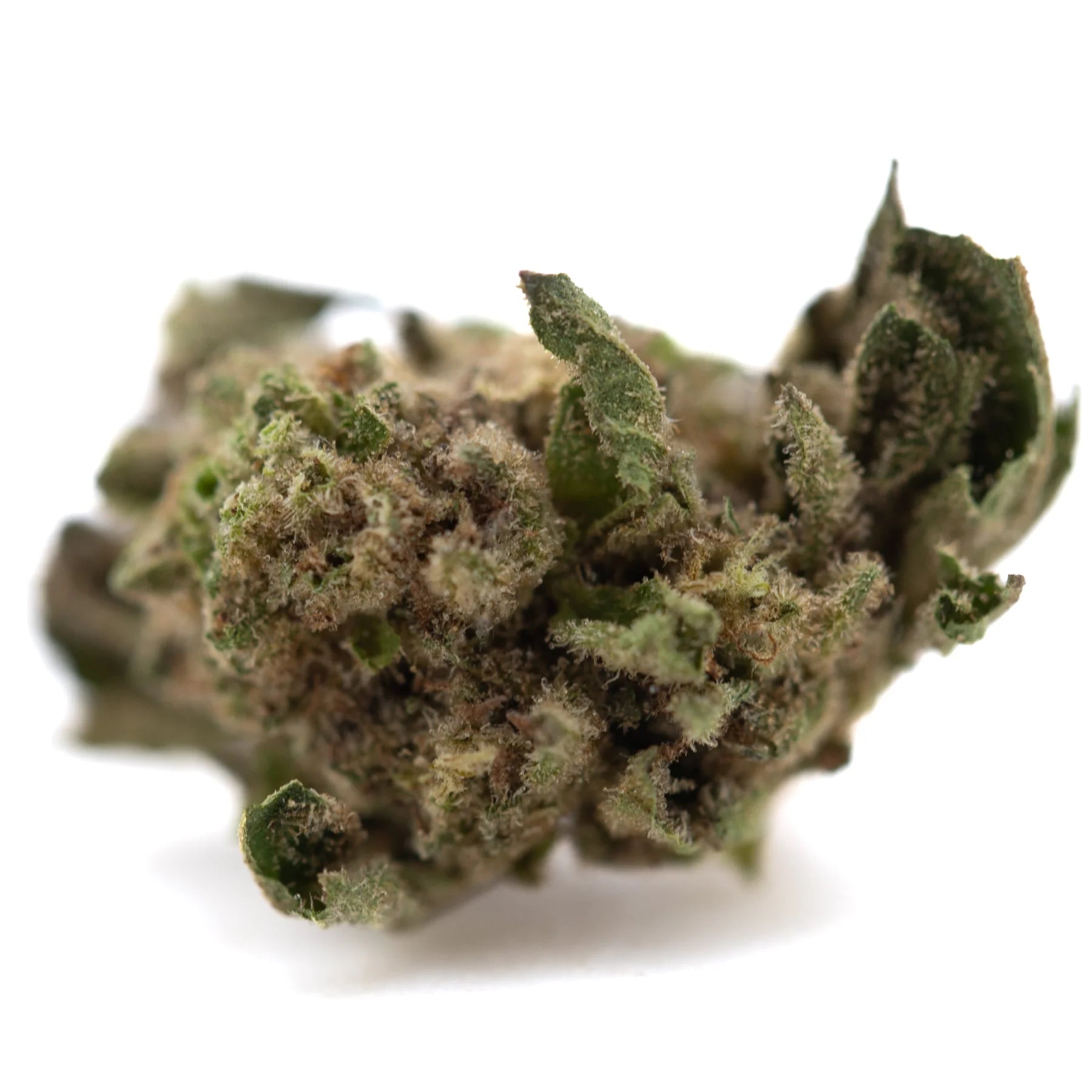 A dense green zushi thca small cannabis bud with fine trichomes and tropical terpene aroma in greenhouse smalls