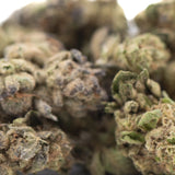 Lush dense zushi thca small hemp flower buds with green and brown hues covered in fine trichomes and tropical terpene