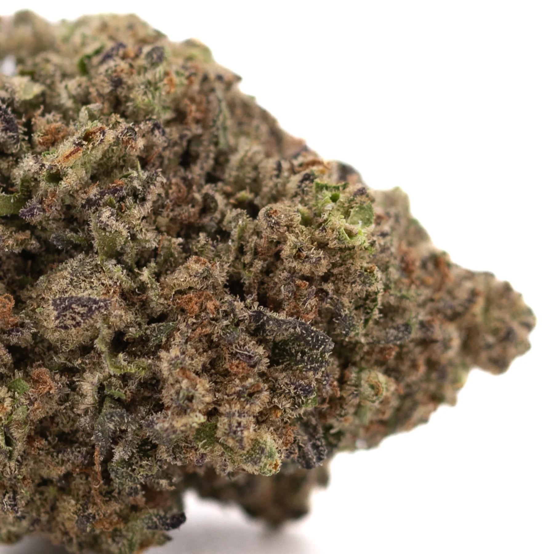 A dense resinous Zushi THCa hemp flower with green brown and purple hues grown by greenhouse cultivation