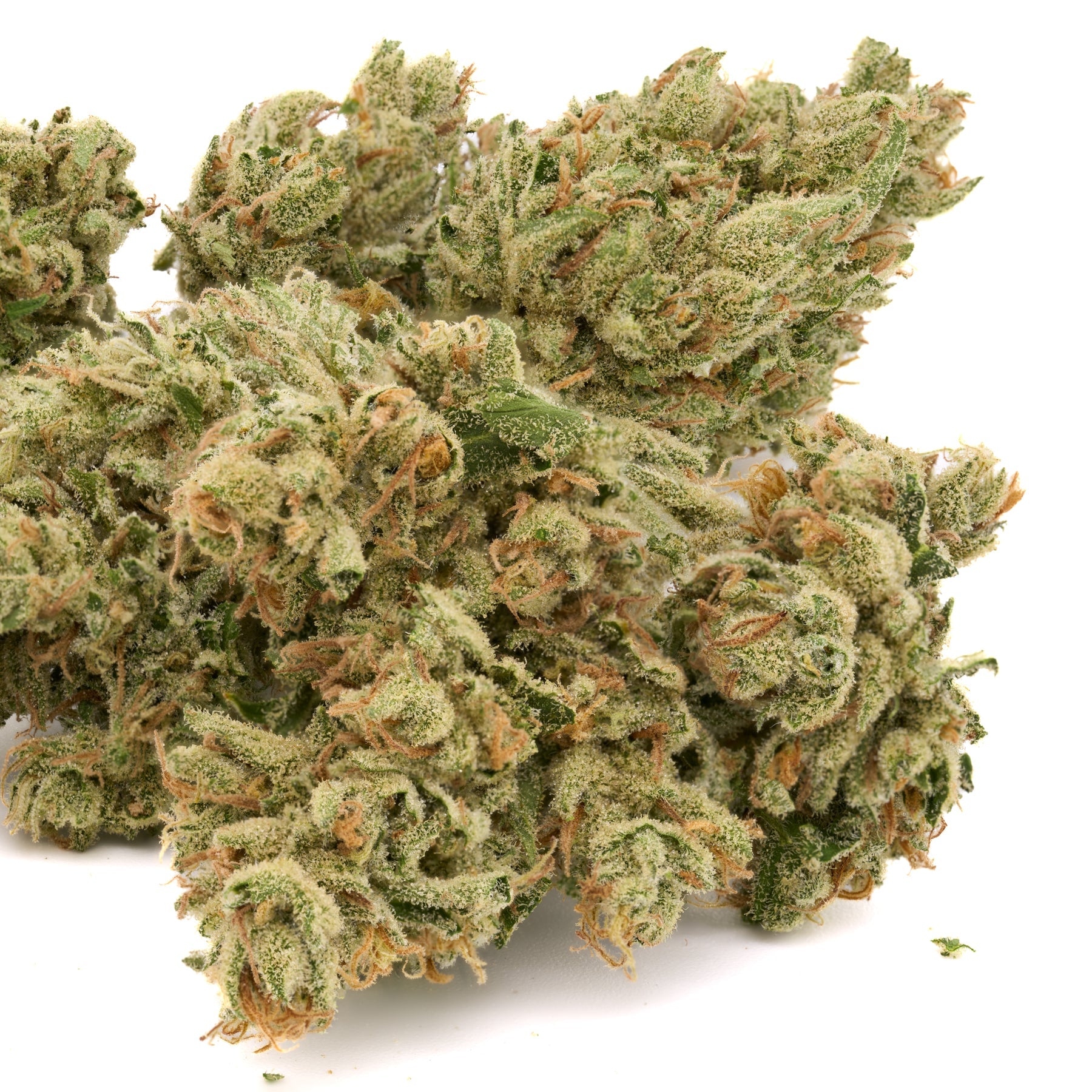 Zweet Insanity THCa Hemp Flower - Plants