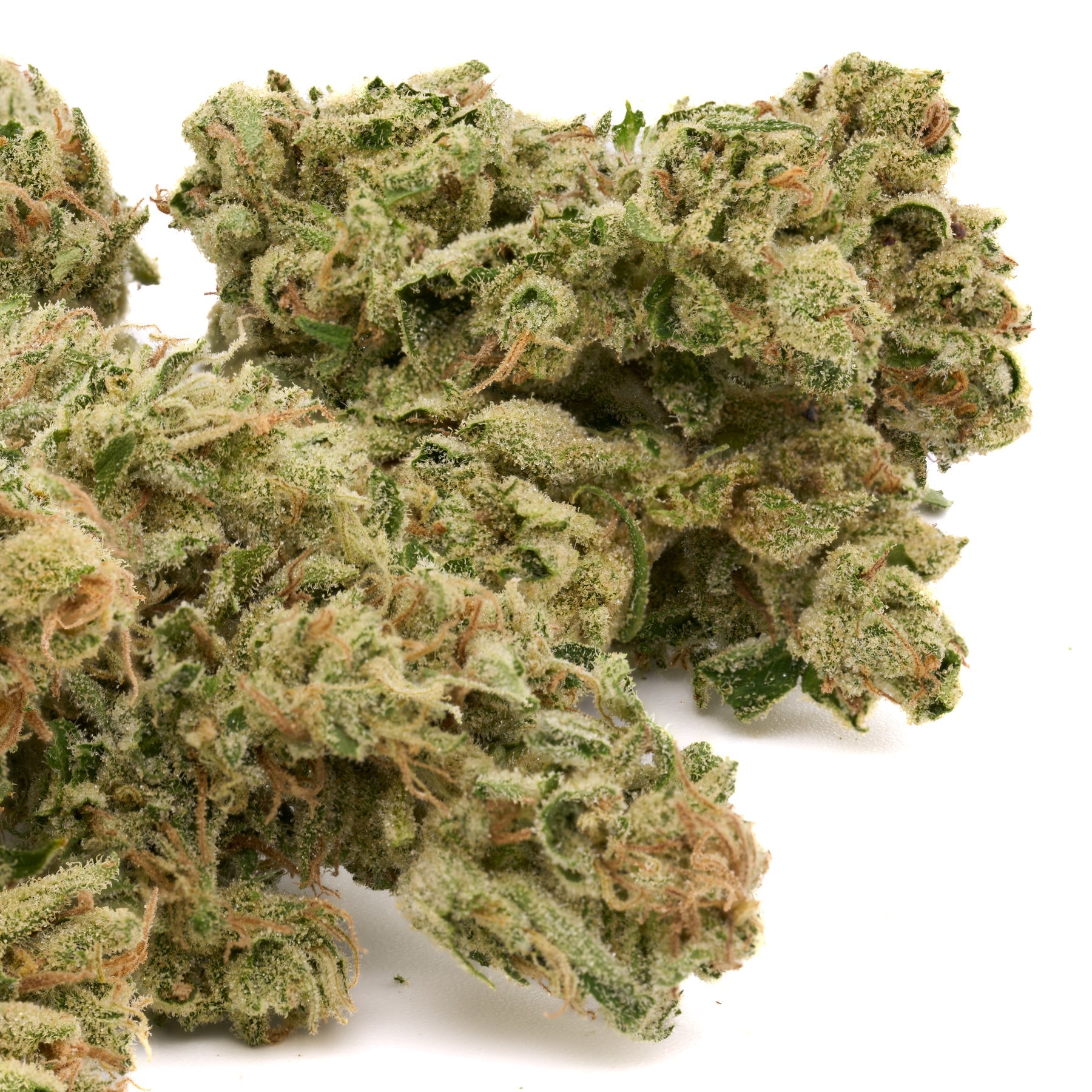 Zweet Insanity THCa Hemp Flower - Plants