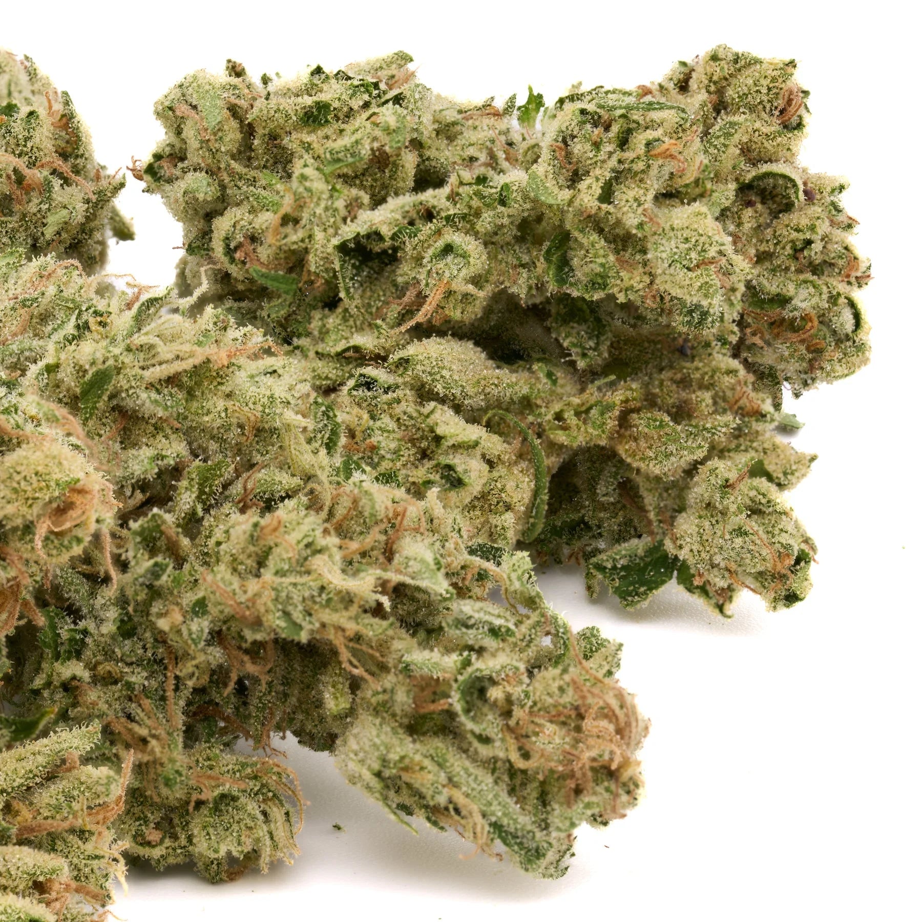 Zweet Insanity THCa Hemp Flower - Plants