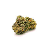 Sour RNA Hemp Flower Wholesale - Plants